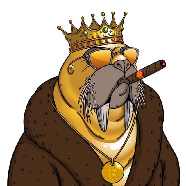 Wat Walrus